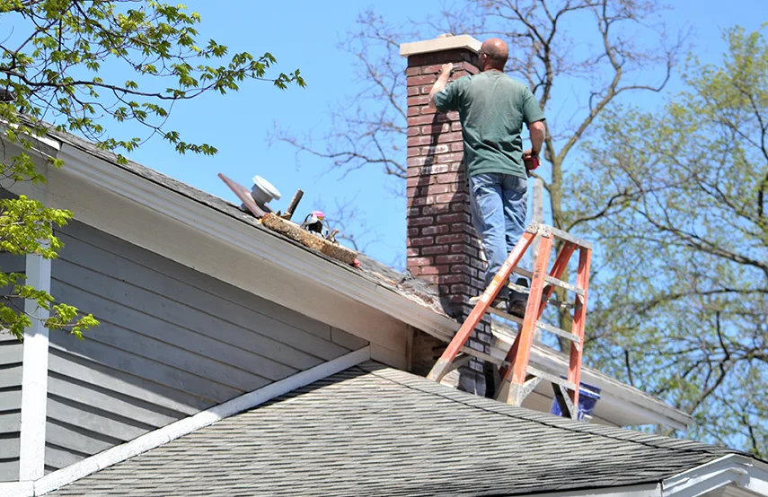 Chimney & Fireplace Inspections Services in Brentwood, TN